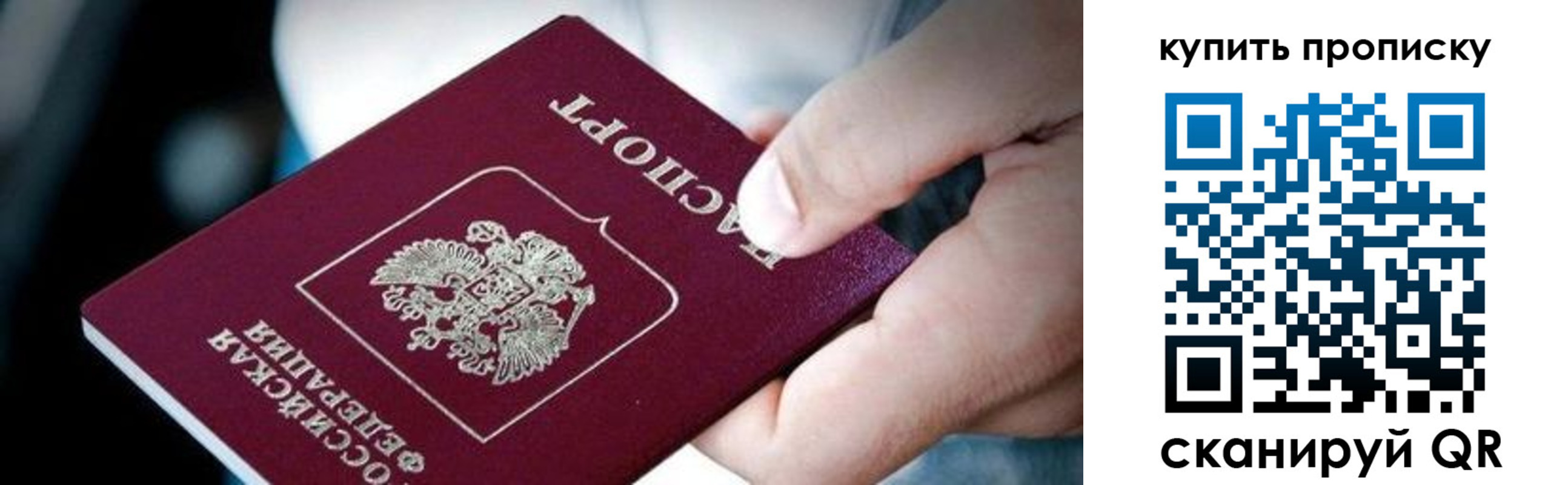 прописка поиск в Новодвинске